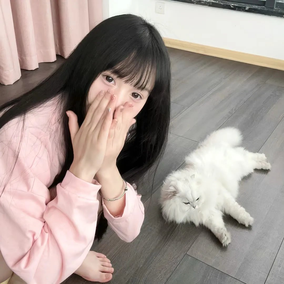 妙妙龙