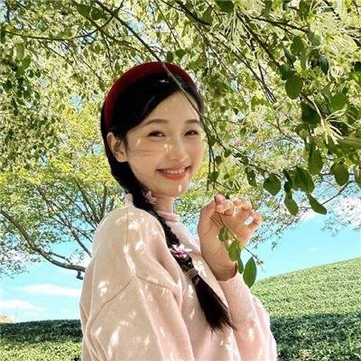 大内密探灵灵狗