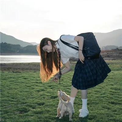 新蝶恋花